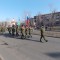 1ef-p1af2re39ea2l1d7gqo782q1siib.jpg
