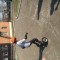 38e-p1ahsmvac8fbdksbqbntelin6l.jpg