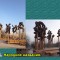 81a-p1aldqs8pj5bp1t5q1o5q7aggm4m.jpg