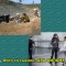 5f1-p1am0n96cp72qbc713td7er10rli.jpg