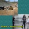 436-p1am7jj9qq1sa1sltd44gnpkpm9.jpg