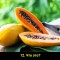 45f-p1anm6ajpi1lcn13di10uk1o0u1m4l8.jpg