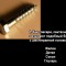 45f-p1anm6bltr15h917ejlkur09f20t.jpg