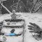 8a6-p1anm3u2df10bv2k31iuras41p8r7.jpg