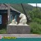 6c9-p1anu2oft6qm9aa3qoe16ifgcmj.jpg