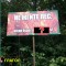 873-p1apcbqrjal3f1ah719og1ntk10rgn.jpg