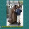ab7-p1apub8ajf14519sb280ors1mkqm.jpg