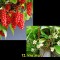 839-p1as6c2h0ip8b1th0121rurb18kr7.jpg