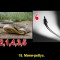 839-p1as6c2h0j2s51rtp17vi1jimvaa.jpg