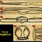 6f5-p1av8ab8a11fn31mh81uj0estf4la.jpg