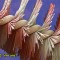 070-p1b60j3mv61leek73qcf1thc1pae.jpg