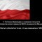 5af-p1b8isqcqas7o1sfb1jn21nh01l1ep.jpg