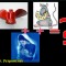 3dd-p1b9og7qtr7ub1sff1fp01s3q1cdpm.jpg