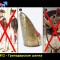 31f-p1ba6d0cm0utm1b4rk5314os1qof9.jpg
