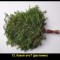 aaf-p1bep4b81l1bjr12lavud11a1lq9.jpg
