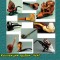 7da-p1bgulatu81dqc1612cqai3prlra.jpg