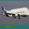 d7b-p1bi5e4f2g1nsuevmoope781rthh.jpg