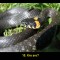 12f-p1binafnid19im1r267fqrlqdcn6.jpg