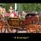 95b-p1blhpiegdbj7uehnd1orv219.jpg