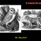 622-p1bmm7jqvm1rop9tm15jdcuc5606.jpg