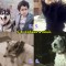 4b4-p1bo46ct561fmm6ga1iv4727145c4.jpg
