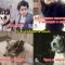 4b4-p1bo46ct56vo5ri7dr6hjup6h5.jpg
