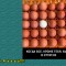 4b4-p1bo46ct5888ss7q1pvo1o7jg2cl.jpg