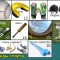 555-p1bp5c4pql1589jtb19vk1l852qbh.jpg
