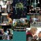 e3c-p1bqrfq52b1a78s1orgf1etctj45.jpg