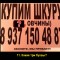 cf2-p1bs9rjrsgb2agvvuhn13mtg78.jpg