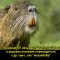 7b2-p1bui0e51a12341ae7prm1t0p8nkd.jpg