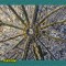 22e-p1c3jva54emrv1k731ib11s2119a4j.jpg