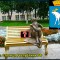 1c7-p1c98k1d6t1925hqo1ad611iq14r6k.jpg