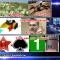 c81-p1cck8lbe922h1qcjqis14ddbj6s.jpg