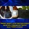 1c0-p1cd6f9dk1hmo6a84c1ll6nudh.jpg