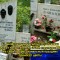 8b4-p1ckgq9uri18jdcv1pe17m4qi5e.jpg