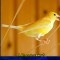 8f7-p1cl2qf1u011hoam0nrffu31eo44.jpg