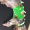 330-p1d3md6mom1sfmsgu1rqk1p7k2jn5.jpg