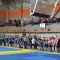 127-p1f20ci01q1bgq1atrqjpejasiu5.jpg