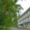 0a0-p1fdtrb7asc6addopne18kak164.jpg