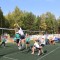 d5b-p1gcoj27q31i531ikge2u1q9q61t7.jpg