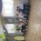 ec8-p1h8u53lq71qnk8u1t5b118lf009.jpeg