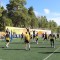 90e-p1ha1dq9kvj16ajfoo511sc35m4.jpg