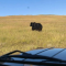 dfc-p1k0u8t5001mui199gapamn635j5.png