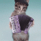 02.gif