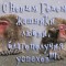 04f9dce183d4e8c4844ff9bb9d16a5cc-zhashniki_.jpg