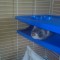 07092010142.jpg