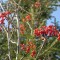 0929c05719479df69338943688d70e17-1.jpg
