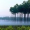 0_5f1f8_c8064810_xl.jpg