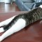 0_6d980_d60fab6e_orig.jpg